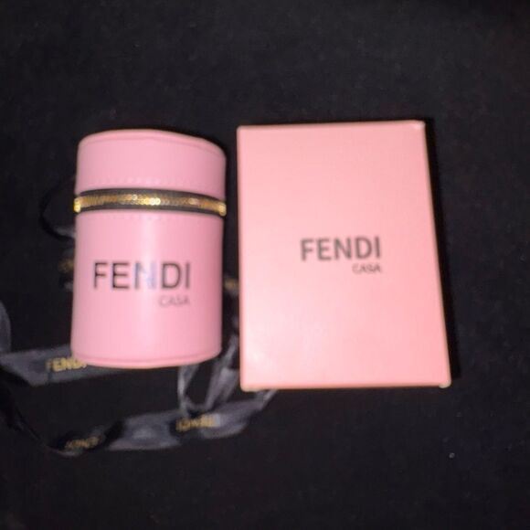 Fendi Pink VIp Gift makeup holder key holder small crossbody bag Case with Strap - Picture 10 of 10